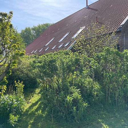 Ferienhof Spiegelhaus Krummhörn 外观 照片