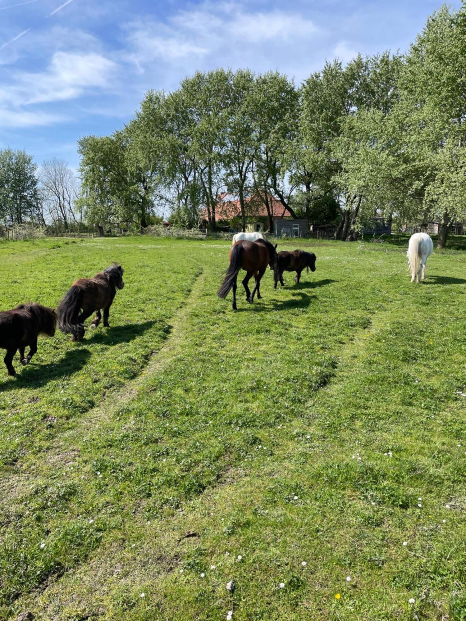 Ferienhof Spiegelhaus Krummhörn 外观 照片